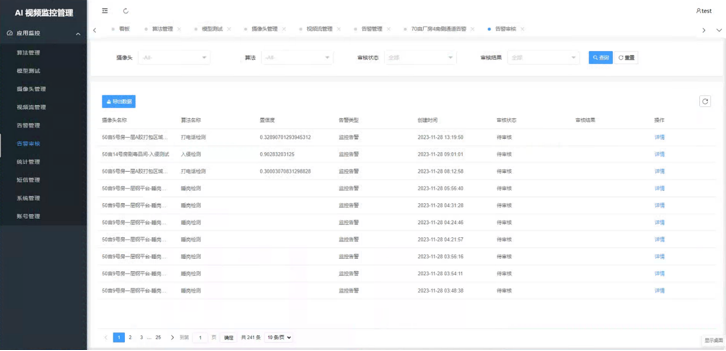 告警复核