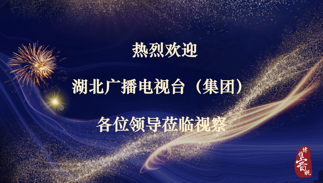 湖北广播电视台（集团）领导莅临参观指导