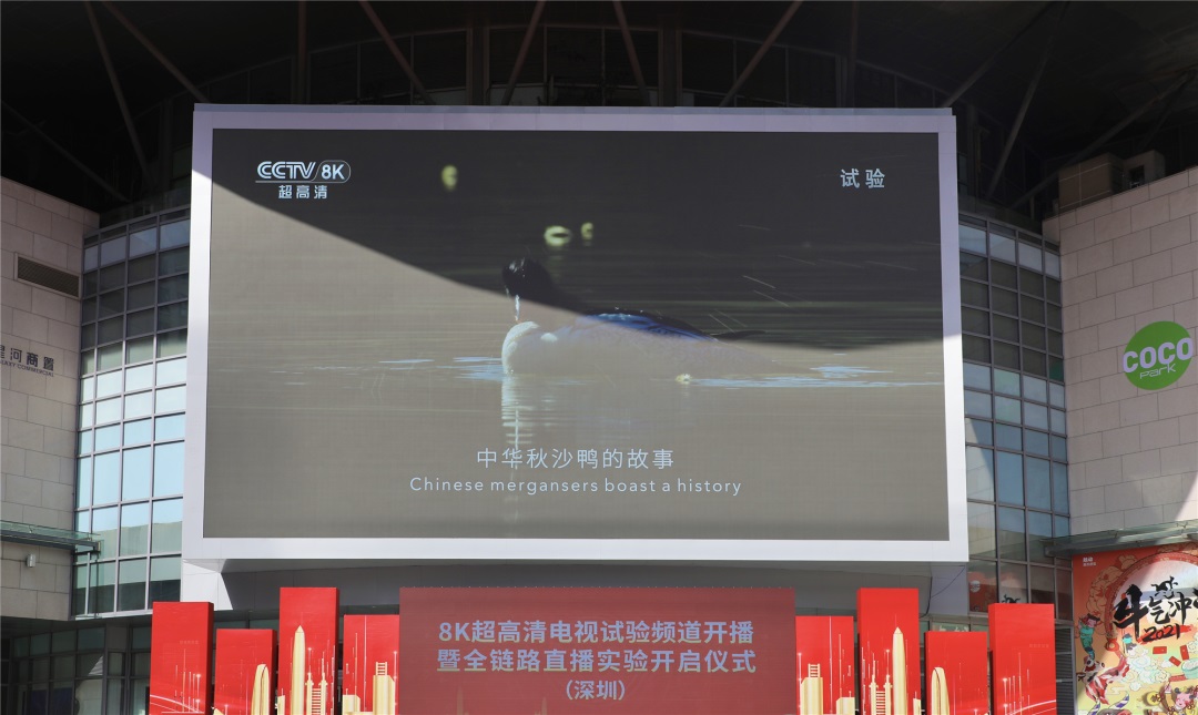 8K超高清试播成功，今年央视春晚直播将使用这项中关村标准！